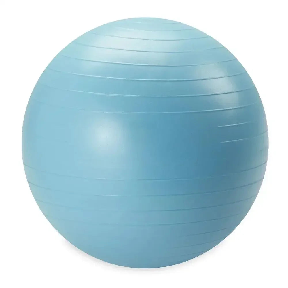 Weighted Stability Ball 55CM -75CM, Pump Included, yoga ball