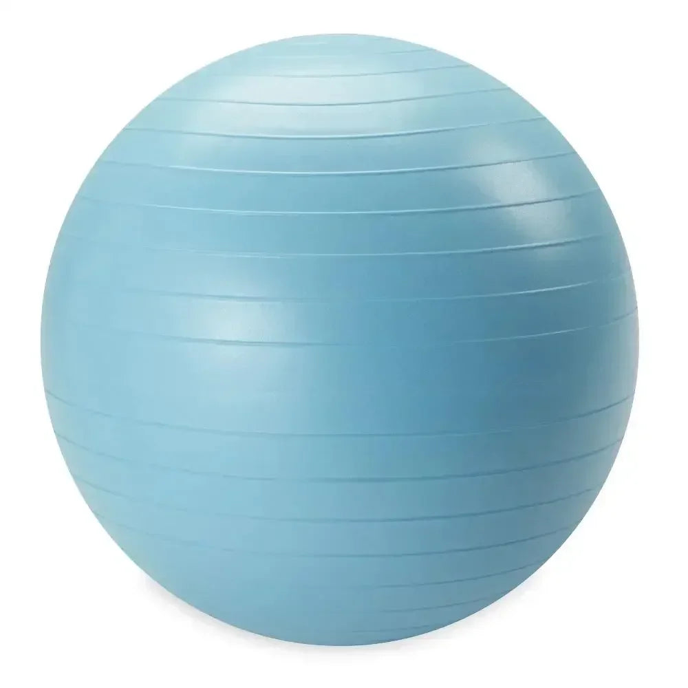 Weighted Stability Ball 55CM -75CM, Pump Included, yoga ball